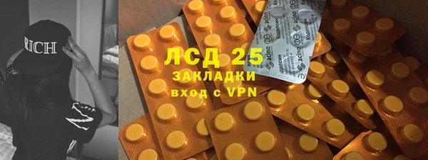 эйфоретик Осинники