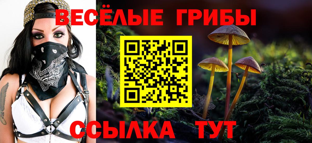Галлюциногенные грибы Psilocybe Батайск